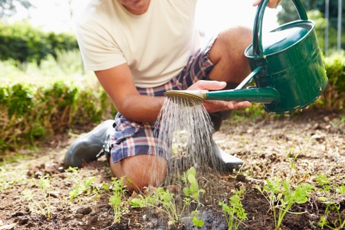 Seasonal garden care activities in Stepney