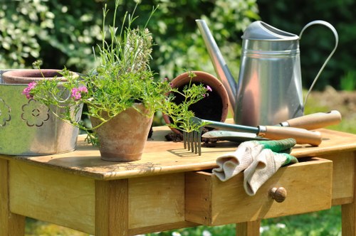 Seasonal garden tools arranged neatly for maintenance