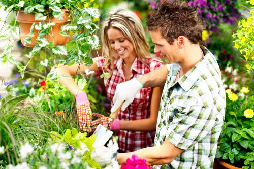 Eco-friendly garden practices with native plants and compost