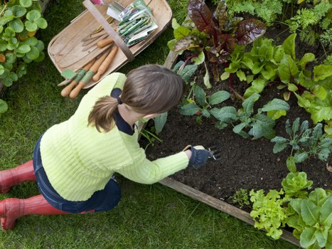 Gardener pruning a shrub in a beautiful backyard