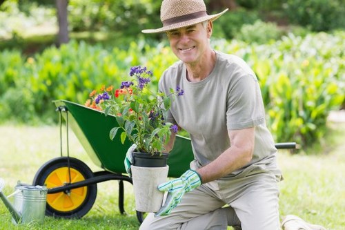 Pruning and trimming shrubs by garden experts