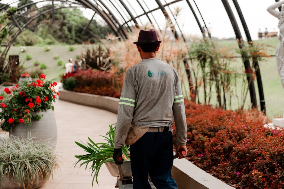 A gardener is seen from behind working inside a spacious greenhouse or conservatory with a curved transparent roof allowing natural light to illuminate the space. The gardener, dressed in a gray sweat