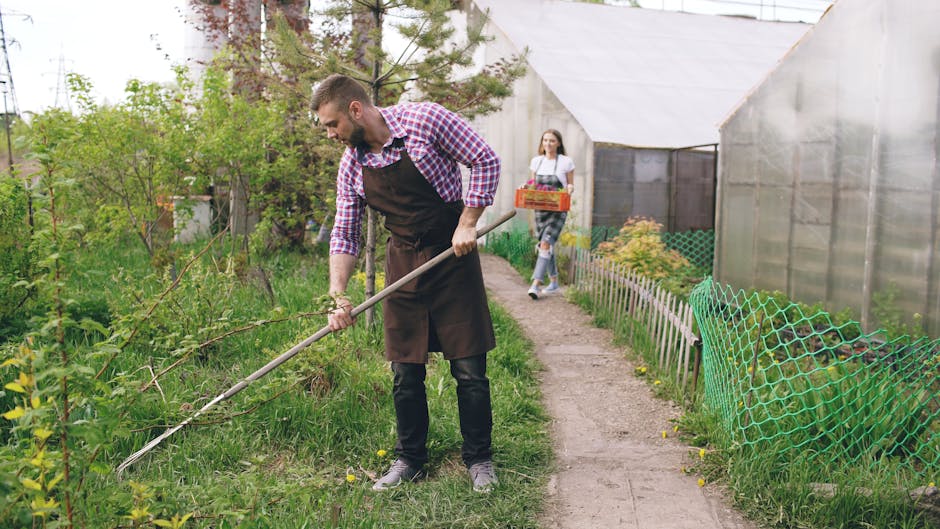 A gardener is seen from behind working inside a spacious greenhouse or conservatory with a curved transparent roof allowing natural light to illuminate the space. The gardener, dressed in a gray sweat
